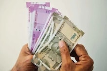 'या' पिकातून करा लाखोंची कमाई, लागवडीचा खर्च फक्त 20 हजार