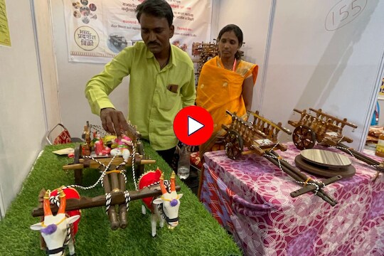 लॉकडाऊनमध्ये सुचली बैलगाडी बनवण्याची कल्पना, स्वत:सह अनेक महिलांचं बदललं नशीब, Video