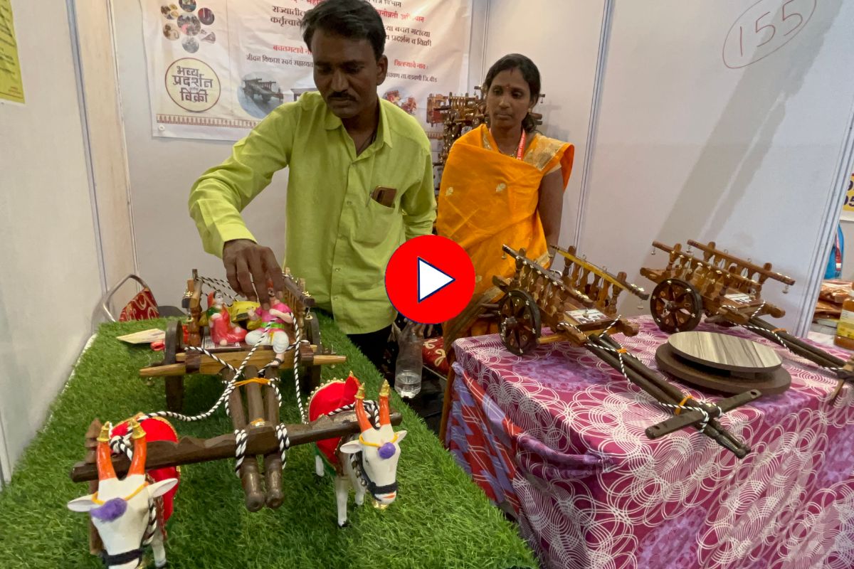 लॉकडाऊनमध्ये सुचली बैलगाडी बनवण्याची कल्पना, स्वत:सह अनेक महिलांचं बदललं नशीब, Video