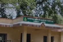 चारा आणण्यासाठी जंगलात गेला पण घरी मृतदेह आला; नागपुरात तरुणासोबत धक्कादायक घटना