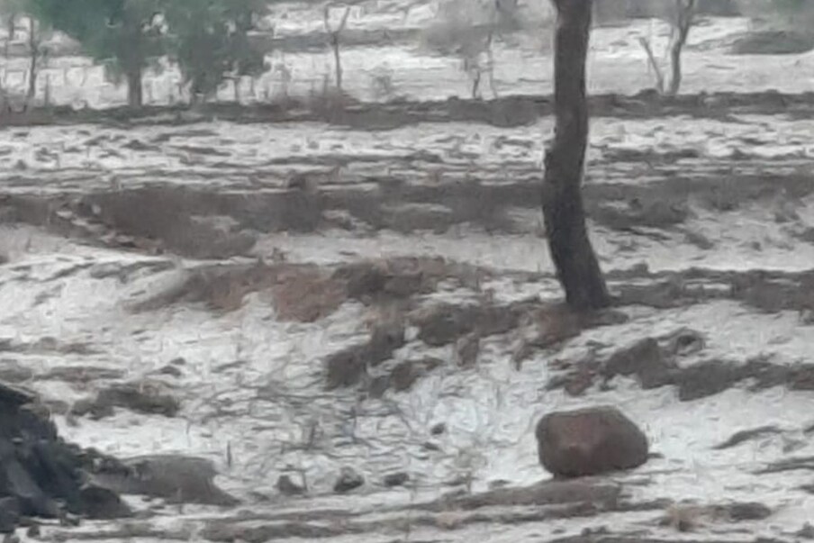अशातच चार दिवसांपासून सुरू असलेला अवकाळी पाऊस, गारपीट आणि त्यातच शासकीय कर्मचाऱ्यांच्या संपामुळे रखडलेले पंचनामे यामुळे बळीराजा दुहेरी संकटात सापडला आहे.