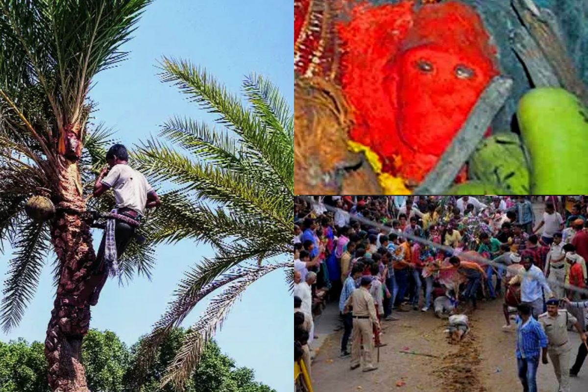 प्रतिकात्मक फोटो