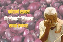 कांद्याला फक्त सव्वा रुपयाचा भाव, 8 हजारांचा तोटा; नाशिकमधील धक्कादायक घटना कांद्याला फक्त सव्वा रुपयाचा भाव, 8 हजारांचा तोटा; नाशिकमधील धक्कादायक घटना