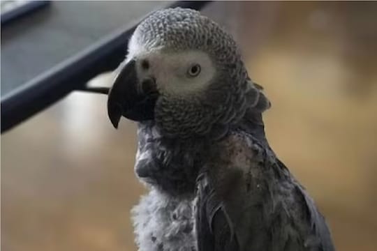 फोटो - फेसबुक