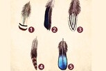 5 पैकी कोणता पंख निवडाल? तुमचं उत्तर उलगडणार तुमच्या व्यक्तीमत्वाचं गुढं