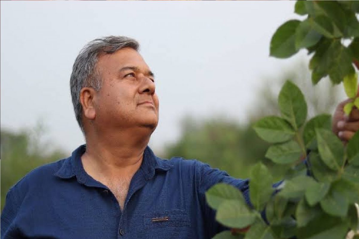 पीपल बाबा