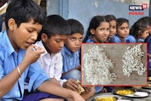 चिमुकल्यांच्या शालेय पोषण आहारात चक्क प्लास्टिकचा तांदूळ! सोलापूर जिल्ह्यात खळबळ