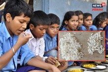 चिमुकल्यांच्या शालेय पोषण आहारात चक्क प्लास्टिकचा तांदूळ! सोलापूर जिल्ह्यात खळबळ चिमुकल्यांच्या शालेय पोषण आहारात चक्क प्लास्टिकचा तांदूळ! सोलापूर जिल्ह्यात खळबळ