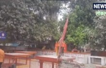 अकबरालाही 300 वर्ष जुने झाड नष्ट करता आलं नाही, काय आहे खासियत या झाडाची