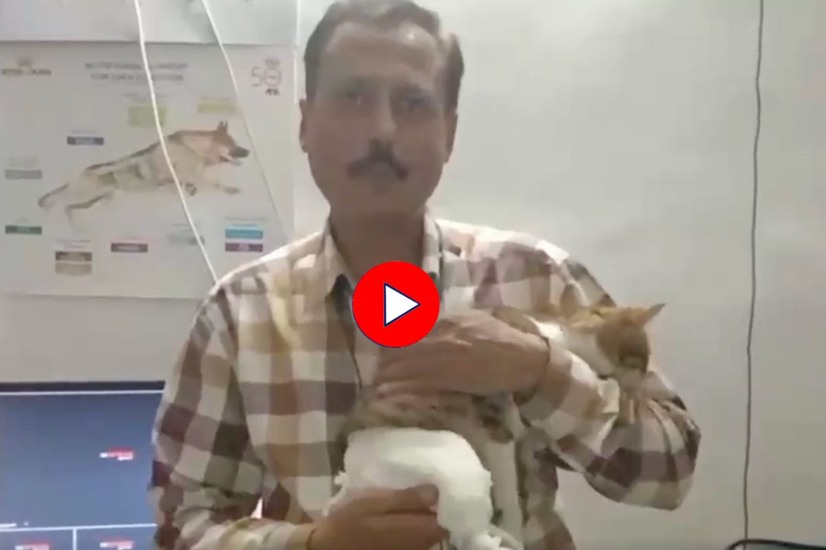 Video : पुण्यातील 108 वर्ष जुने आईस्क्रीम पार्लर माहिती आहे? 'मस्तानी'साठी विशेष फेमस