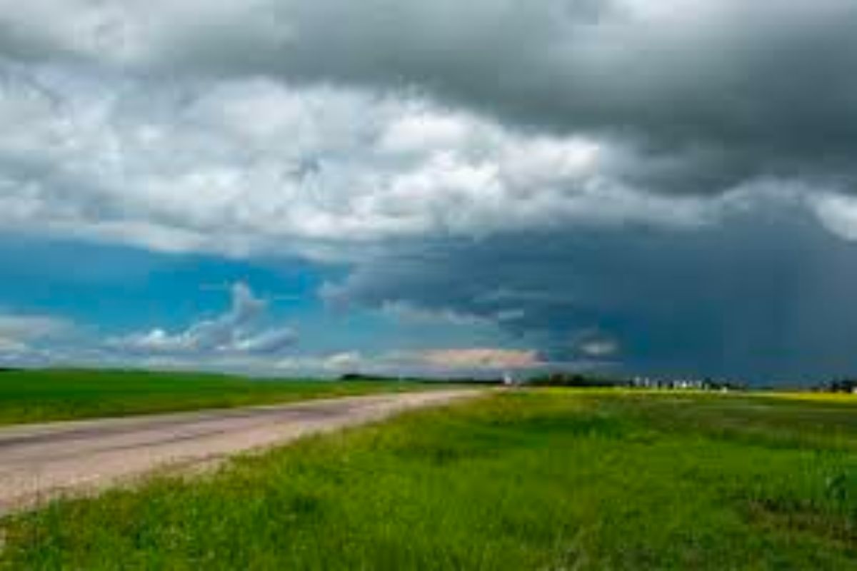 Chhatrapati Sambhaji Nagar : पुन्हा पावसाचा इशारा! शेतकऱ्यांनो, 'या' पद्धतीनं घ्या पिकांची काळजी