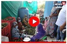 सीताफळांच्या कोठारात झाडांना धोका, पाहा का निर्माण झाली परिस्थिती? Video सीताफळांच्या कोठारात झाडांना धोका, पाहा का निर्माण झाली परिस्थिती? Video
