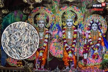 महिला भाविकाची अशीही 'श्रीराम' भक्ती! तांदळाच्या साडेसात लाख दाण्यांवर लिहलं नाव महिला भाविकाची अशीही 'श्रीराम' भक्ती! तांदळाच्या साडेसात लाख दाण्यांवर लिहलं नाव