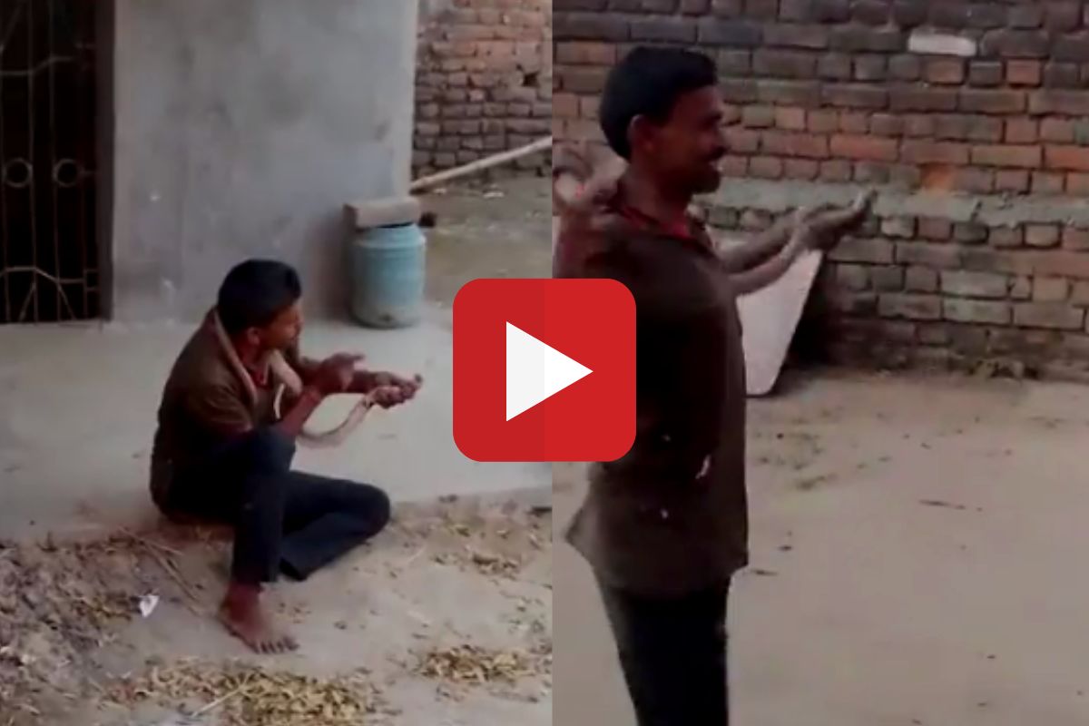 व्हायरल व्हिडीओ