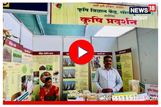 शेतकऱ्यांनो, तृणधान्याची लागवड करा आणि मिळवा 'या' पद्धतीनं फायदा, Video