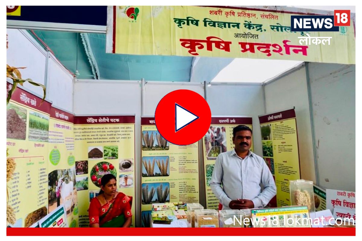 शेतकऱ्यांनो, तृणधान्याची लागवड करा आणि मिळवा 'या' पद्धतीनं फायदा, Video