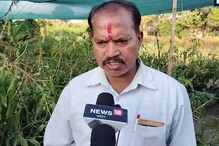 शेतकऱ्याची कमाल! तयार केली आंब्याची 'सदाबहार' जात, आता 12 ही महिने बहरतो आंबा शेतकऱ्याची कमाल! तयार केली आंब्याची 'सदाबहार' जात, आता 12 ही महिने बहरतो आंबा