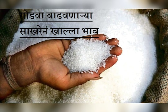 10 वर्षांत पहिल्यांचाद एवढी महाग झाली साखर, जाणून घ्या नेमकं काय कारण?
