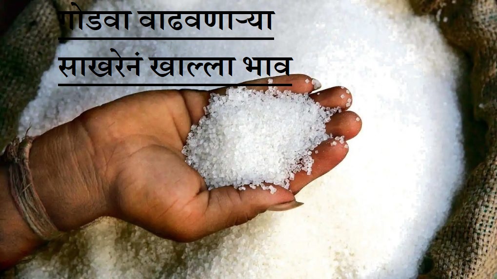 10 वर्षांत पहिल्यांचाद एवढी महाग झाली साखर, जाणून घ्या नेमकं काय कारण?