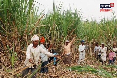 संग्रहित छायाचित्र