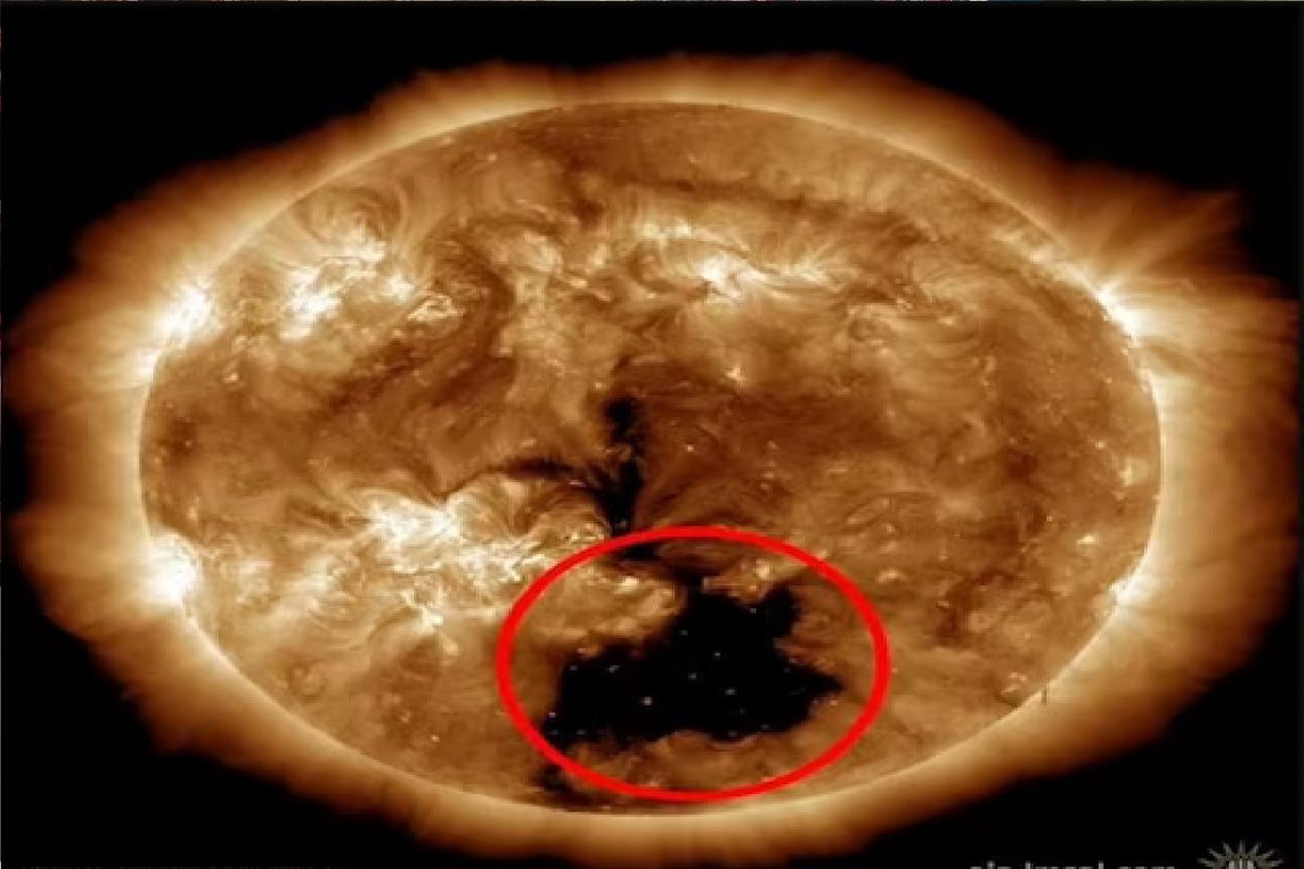 सूर्याला पृथ्वीपेक्षा मोठं छिद्रं (फोटो - नासा)