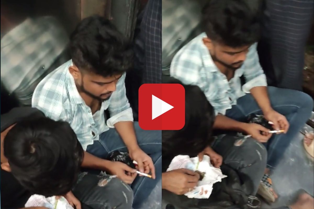 व्हायरल व्हिडीओ