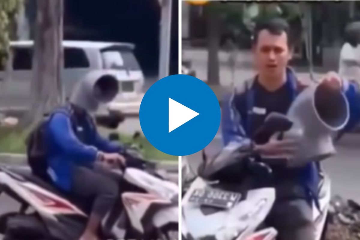 व्हायरल व्हिडीओ