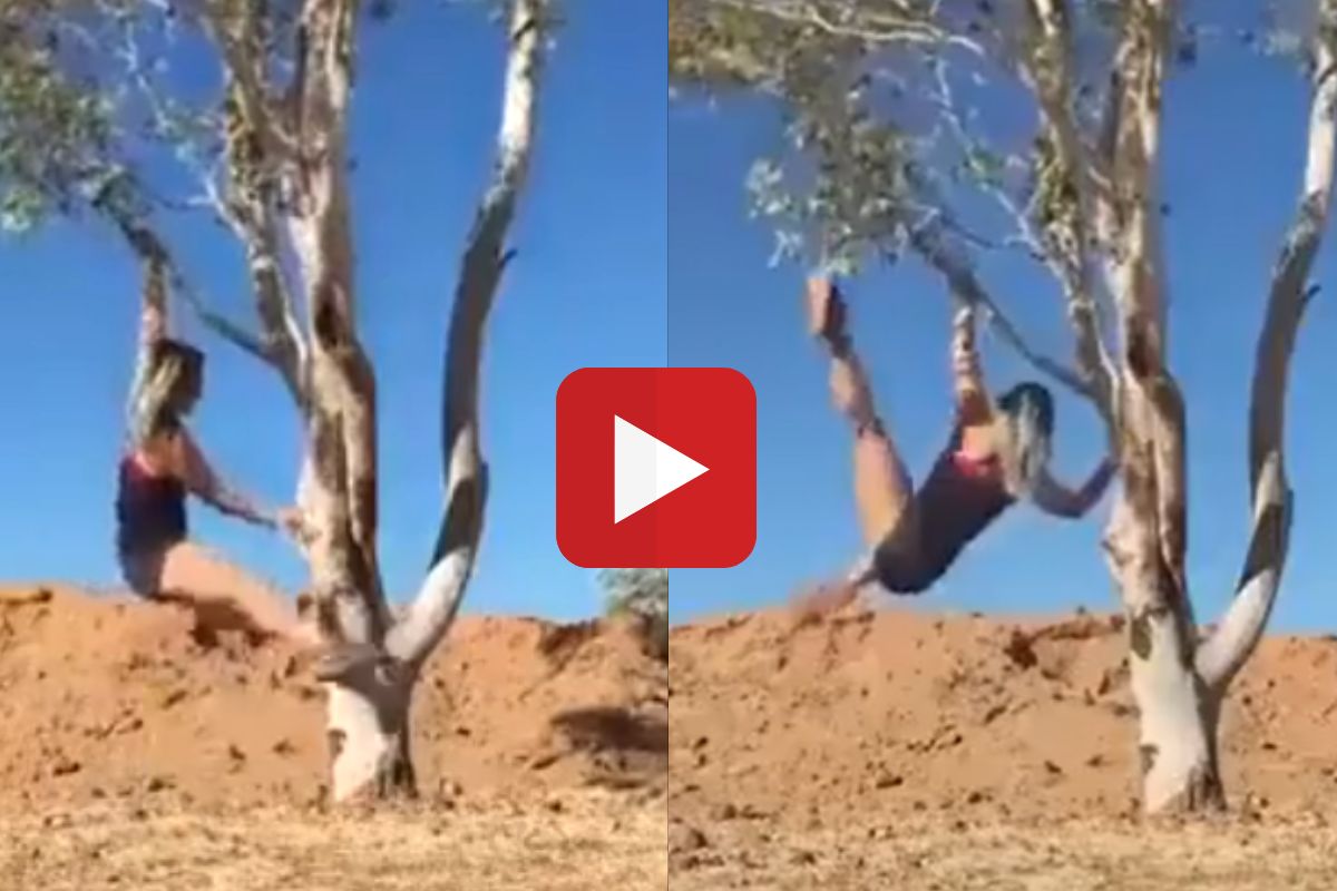 व्हायरल व्हिडीओ