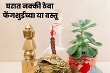 घरात नक्की ठेवा फेंगशुईच्या या वस्तू, धनसंपत्ती आणि सौभाग्याची होईल सुरुवात