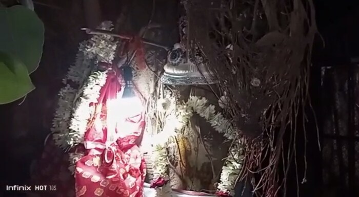 रेखादेवींनी आपल्या व़डाच्या झाडाचं लग्न त्याच्या शेजारी असलेल्या रवीच्या झाडाशी लावून दिलं आहे. या लग्नासाठी त्यांनी लोकांकडून पैसे जमवले.