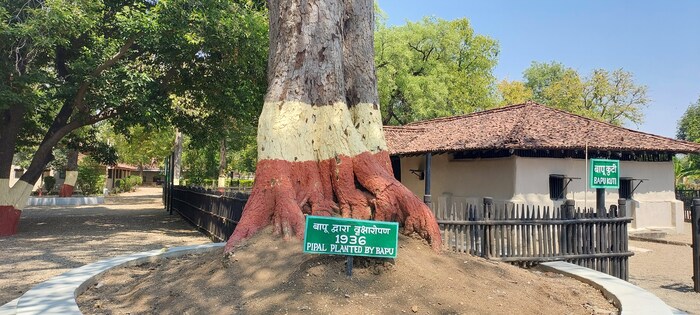 देश-विदेशातील अभ्यासक महात्मा गांधींवर लिखाण करत असतात. असंख्य पुस्तके सुद्धा लिहिण्यात येत आहेत. 