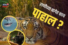 उन्हाळ्याच्या सुट्टीचा घ्या मनसोक्त आनंद, राणीच्या बागेत करा बच्चे कंपनीसोबत धमाल, Video
