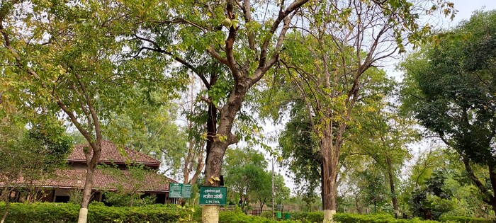 सध्याच्या धकाधकीच्या आणि अविश्वासाच्या दुनियेत गांधीजी हाच एकमेव आधार असल्याचे अभ्यासकांकडून सांगण्यात येते.
