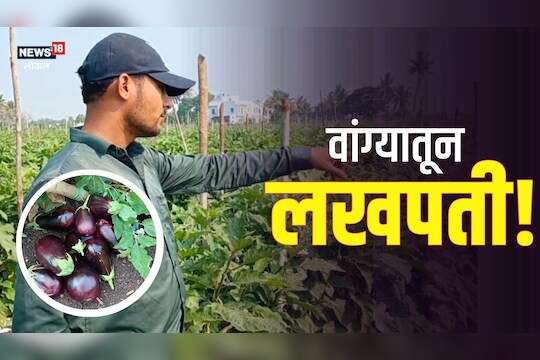 नेहमीच्या पिकामध्ये चालवलं डोकं, शेतकरी झाला लखपती, Video