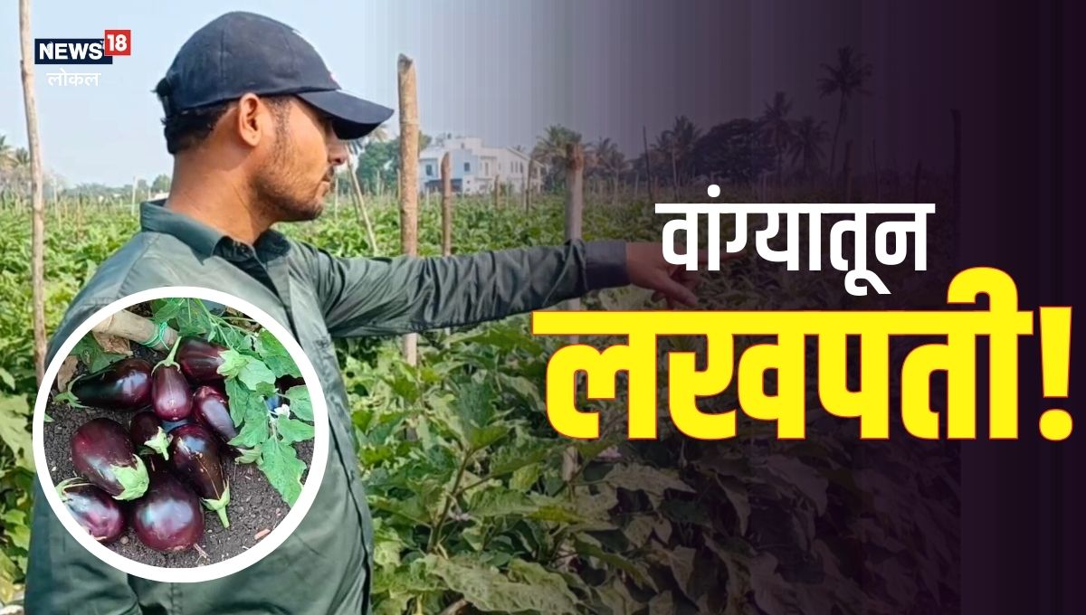 नेहमीच्या पिकामध्ये चालवलं डोकं, शेतकरी झाला लखपती, Video