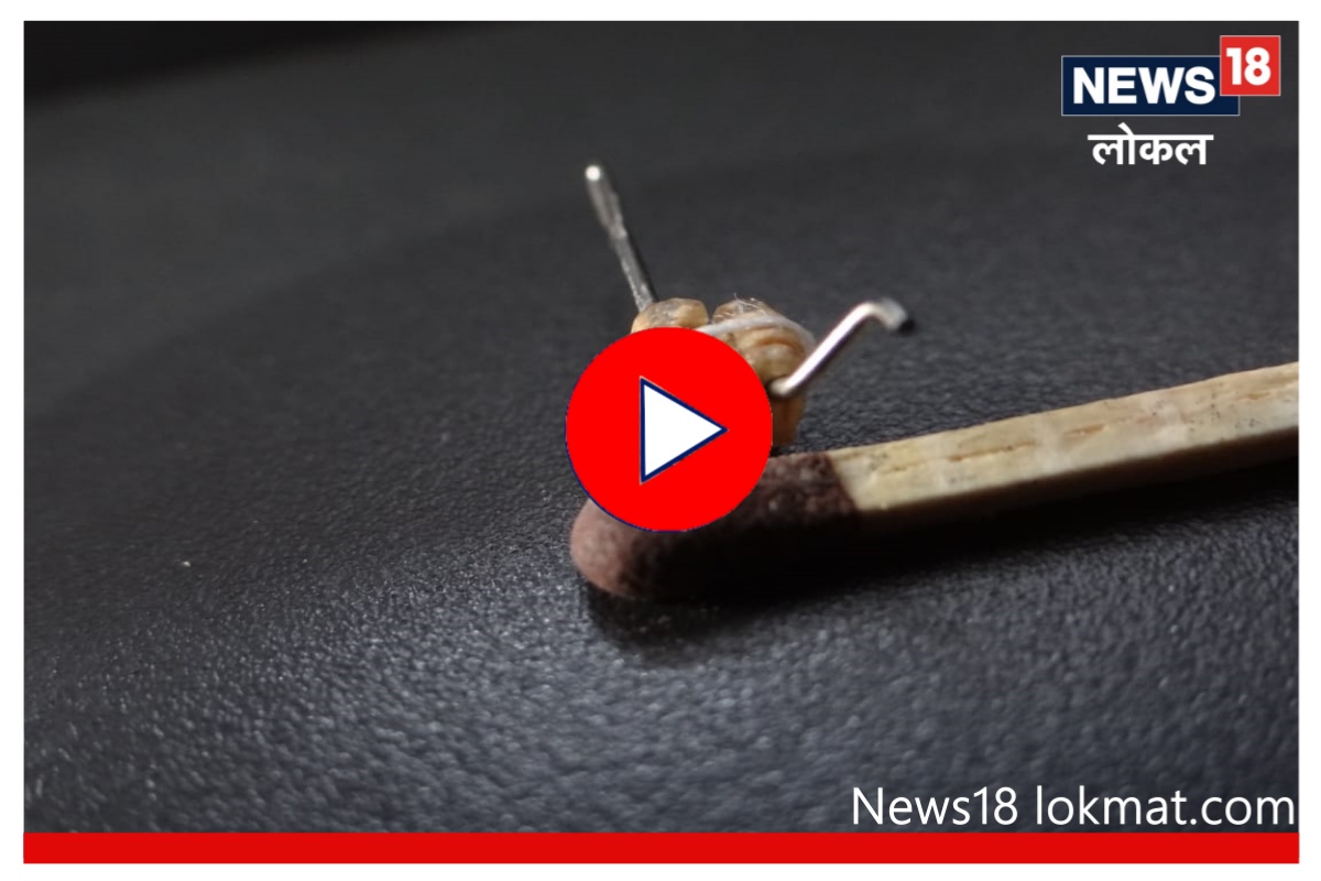 नागपूरच्या कलाकारानं तयार केला जगातील सर्वात लहान चरखा! निर्मितीचा उद्देशही आहे खास, Video