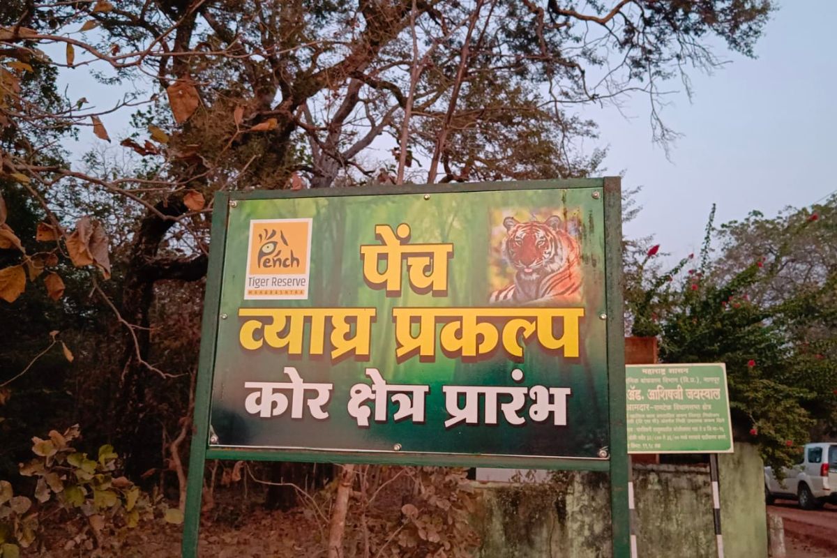 पेंच प्रकल्पातील 2 प्राण्यांचे पहिल्यांदाच होणार सर्वेक्षण, 'या' पद्धतीनं तुम्हीही व्हा सहभागी!