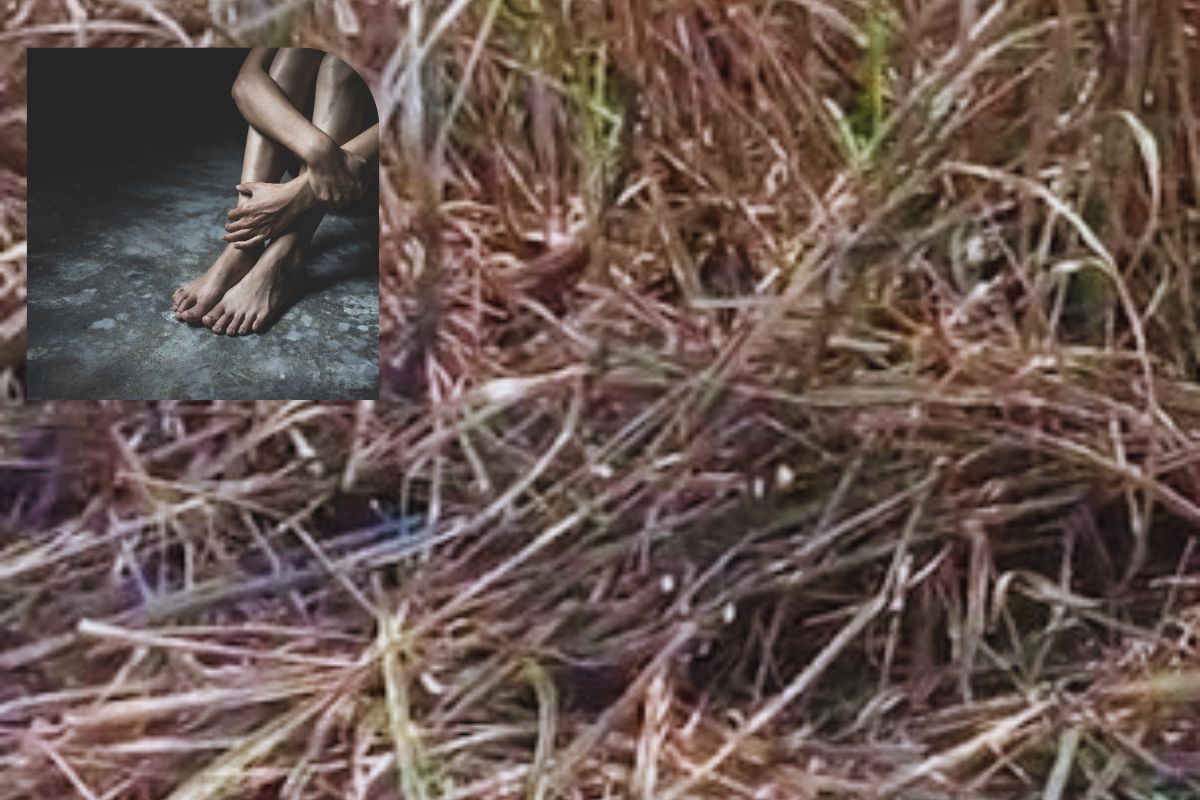 आई-वडिलांसोबत ऊस तोडायला गेलेल्या लेकीसोबत भयानक घडलं, धाराशीव हादरलं