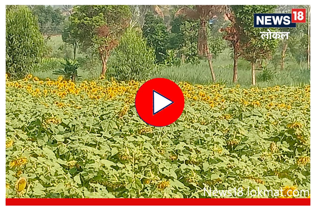 घरातील तेलाची गरज भागवण्यासाठी पिता-पुत्रांनी शोधली आयडिया, तुम्हीही घेणार का आदर्श? Video