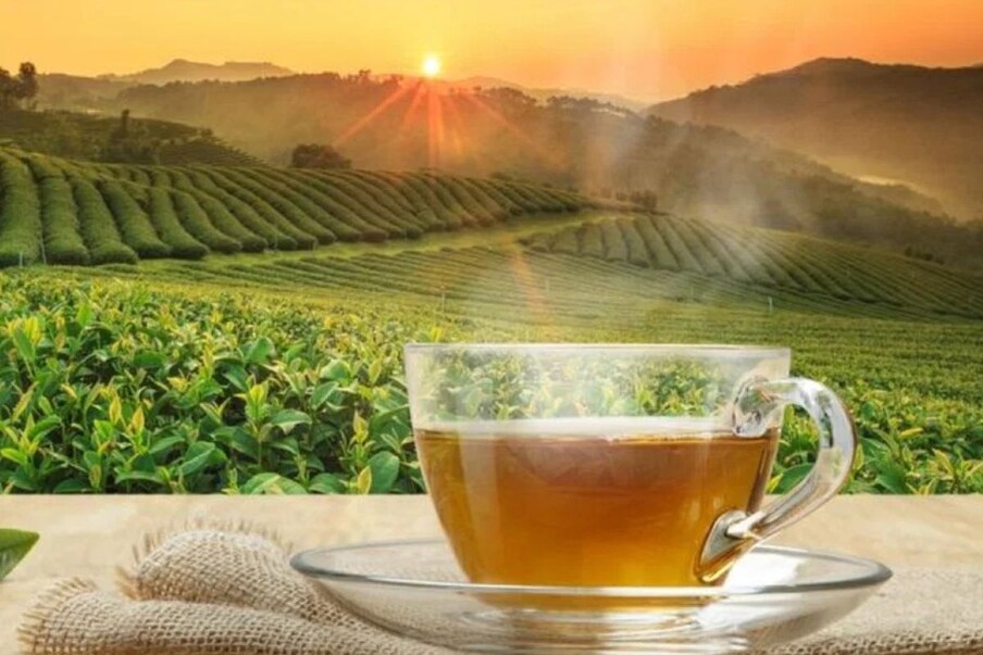 'चहाला वेळ नसली तरी वेळेला चहा हवाच' ही म्हण चहाप्रेमींसाठी ब्रीद वाक्यच आहे. त्यामुळे चहाप्रेमी कोणत्याही वेळेला चहा घेऊ शकतात. 