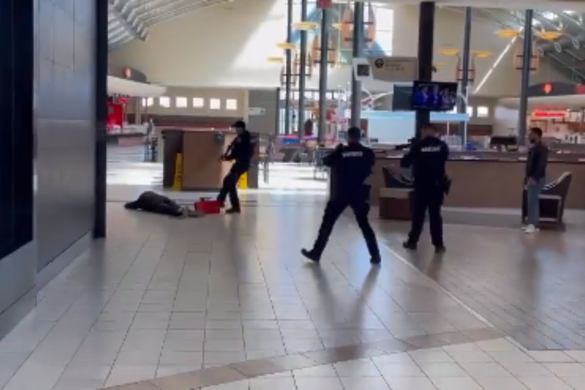 Video: प्रँक व्हिडिओ बनवणं महागात पडलं; रागात व्यक्तीचा थेट यूट्यूबरवर गोळीबार अन् मग..