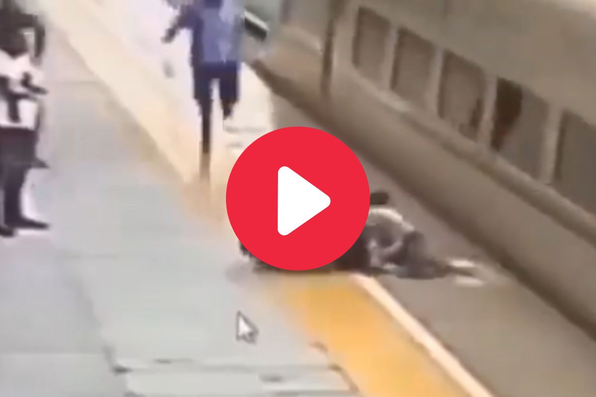 व्हायरल व्हिडीओ