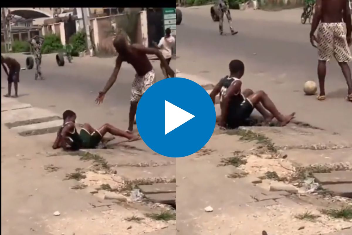 व्हायरल व्हिडीओ