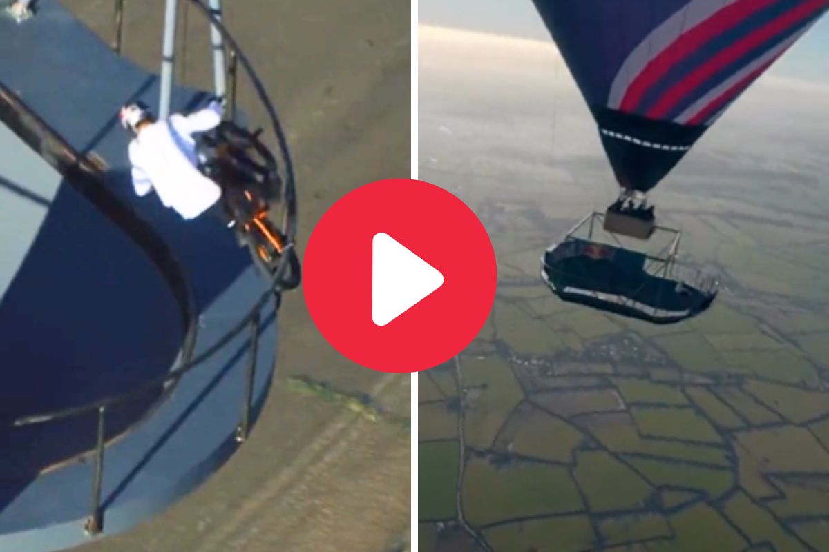 व्हायरल व्हिडीओ