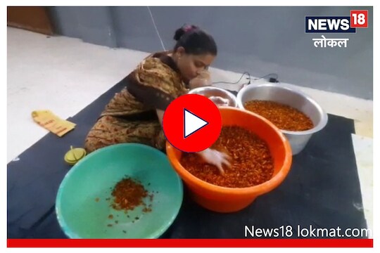 Latur News : लातूरच्या गृहिणीने बनवले तब्बल 56 प्रकारचे लोणचे, पाहा कशी केली ही किमया! Video