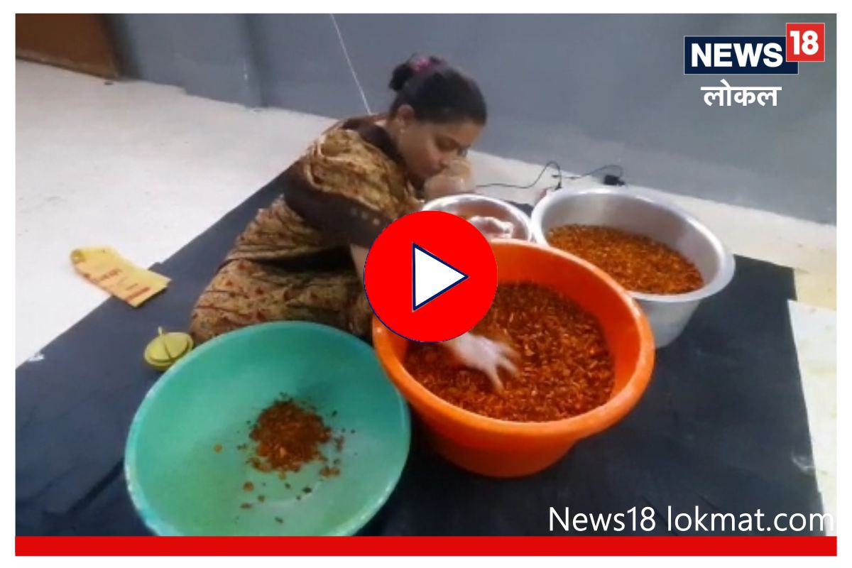 Latur News : लातूरच्या गृहिणीने बनवले तब्बल 56 प्रकारचे लोणचे, पाहा कशी केली ही किमया! Video