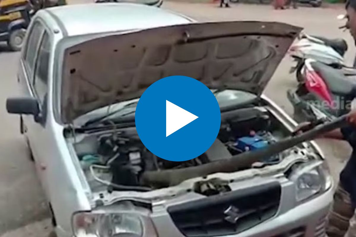 व्हायरल