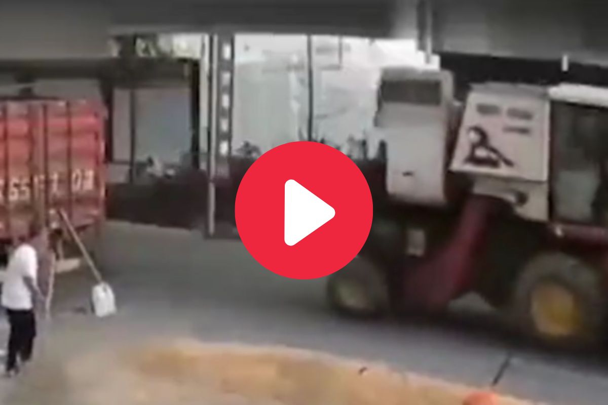 शॉकिंग व्हिडीओ