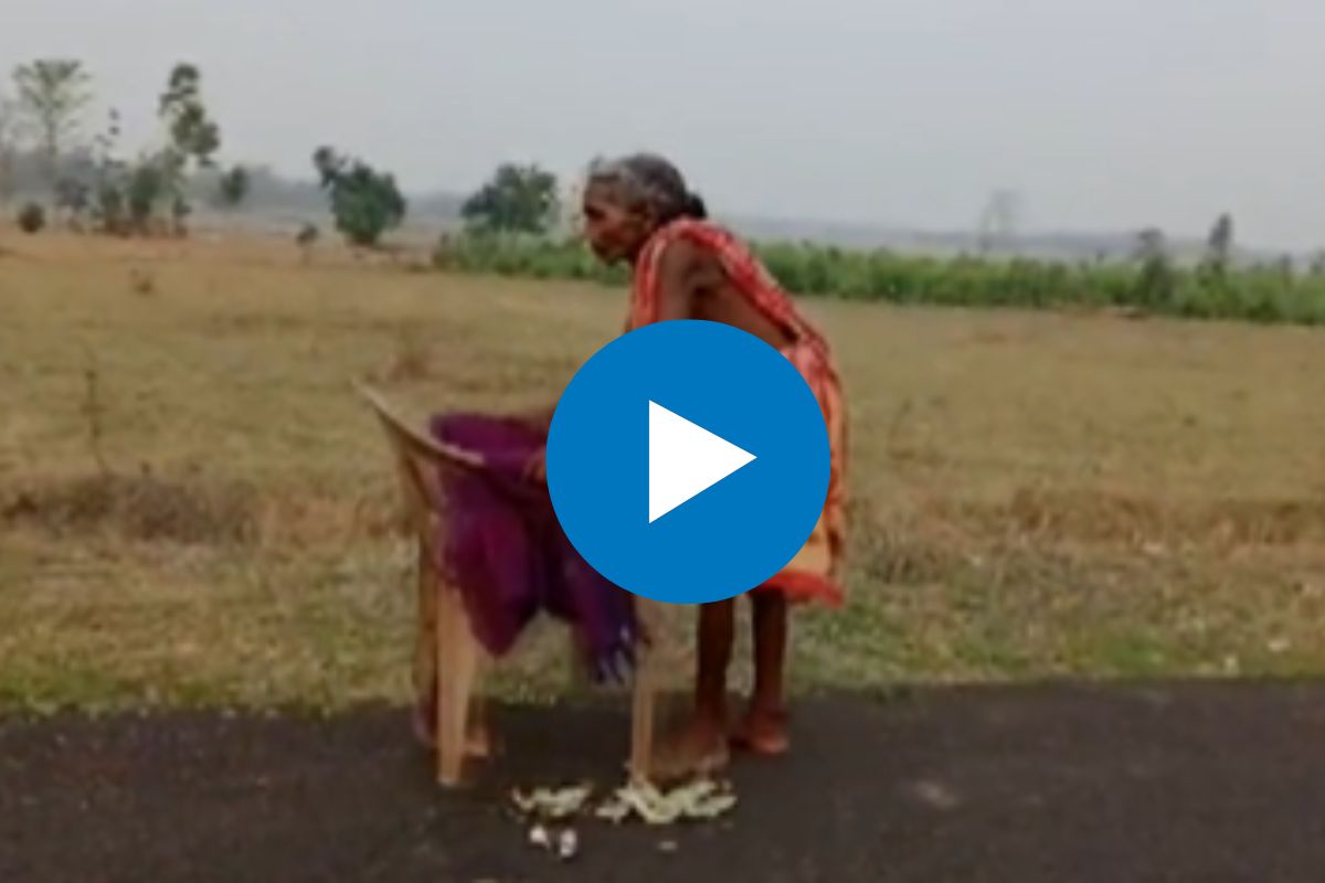 व्हायरल