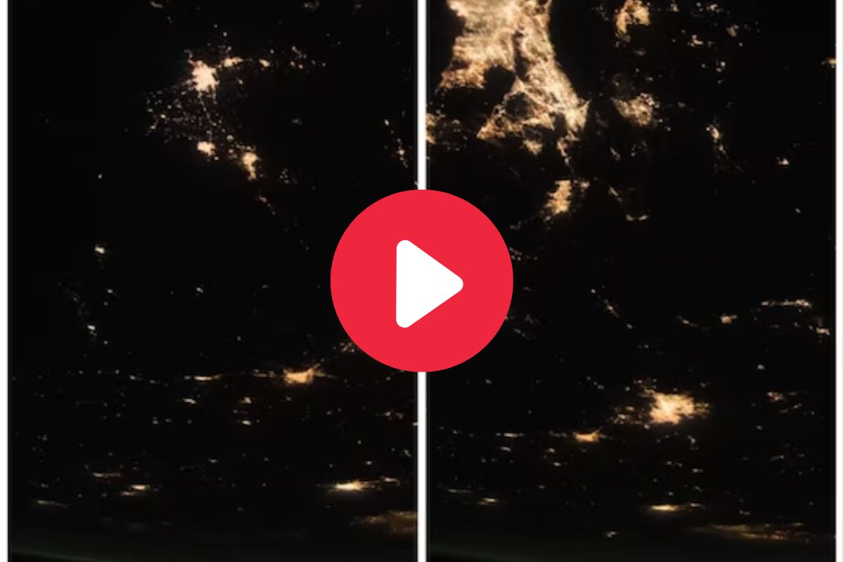 व्हायरल